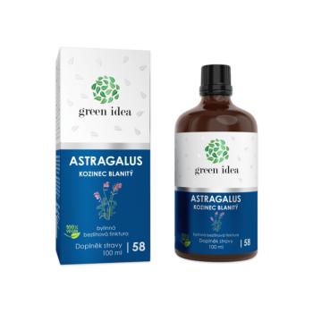 Astragalus - alkoholmentes tinktúra 100 ml - Green idea kép