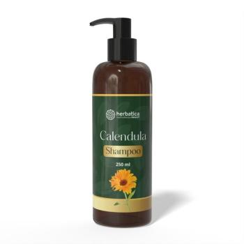 Calendula Shampoo – körömvirágos sampon a hajnövekedés támogatására – 250 ml - Herbatica kép