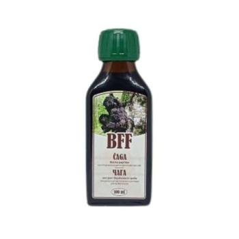 Chaga kivonat belsőleges oldat készítéséhez - 100 ml - BFF kép