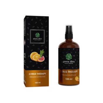 CITRUS THERAPY - természetes légfrissítő 100 ml - Green idea kép