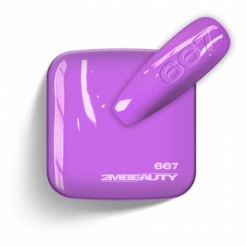 Gel Lack - Fun Color 667 (13 ml) kép