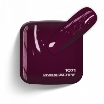 Gel Lack - Matt 1071 (13 ml) kép