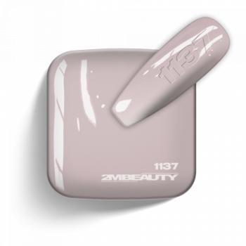 Gel Lack - Matt 1137 (5ml - mini me) kép