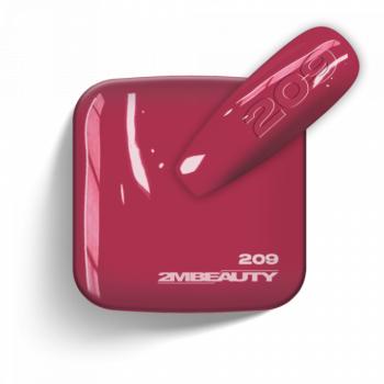 Gel Lack - Matt 209 (13 ml) kép