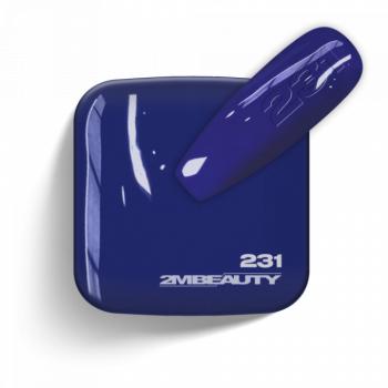 Gel Lack - Matt 231 (13 ml) kép