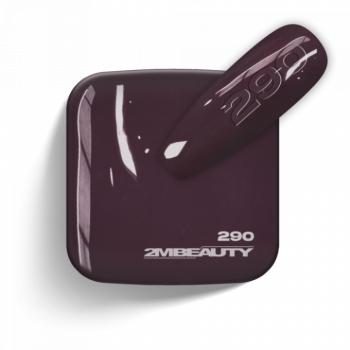 Gel Lack - Matt 290 (13 ml) kép