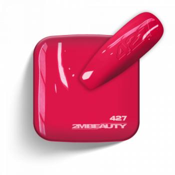Gel Lack - Matt 427 (13 ml) kép