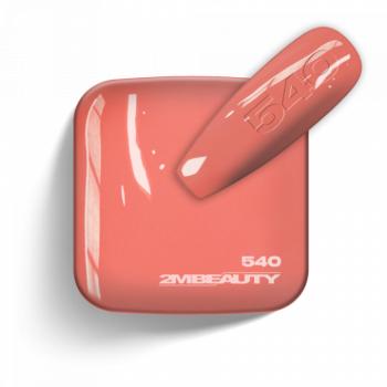 Gel Lack - Matt 540 (13 ml) kép