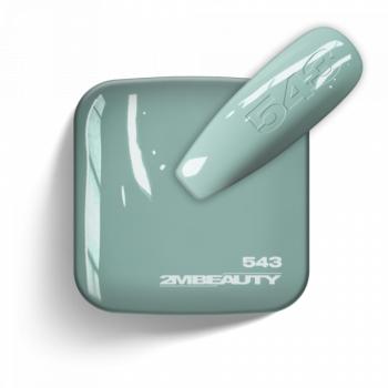 Gel Lack - Matt 543 (5ml - mini me) kép