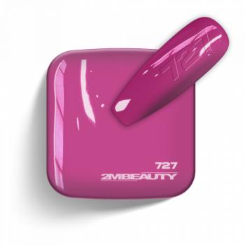 Gel Lack - Matt 727 (13 ml) kép