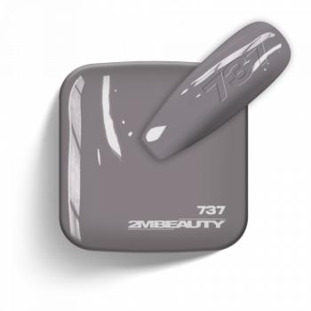 Gel Lack - Matt 737 (13 ml) kép
