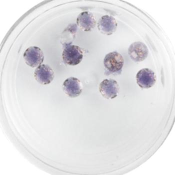 Plexi Glitter - 18 () kép