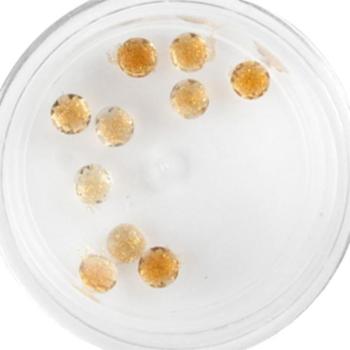 Plexi Glitter - 22 () kép