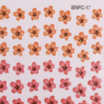 SNFC-17 () kép