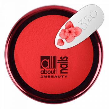 Színes Porcelánpor 320 (5g) kép