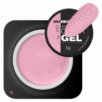Színes Zselé - Matt 037 - HEMA Mentes (5g) kép