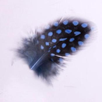 Toll 107 Blue () kép