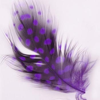 Toll 108 Purple () kép
