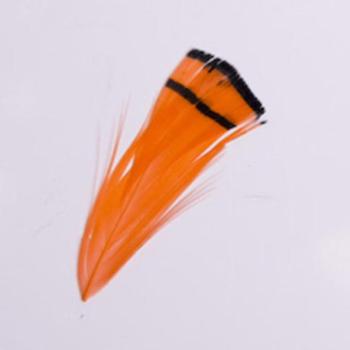 Toll 203 Orange () kép
