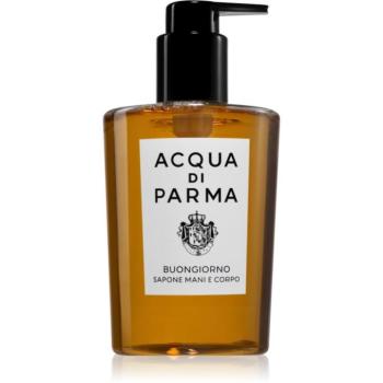 Acqua di Parma Buongiorno parfümös folyékony szappan kézre és testre 300 ml kép
