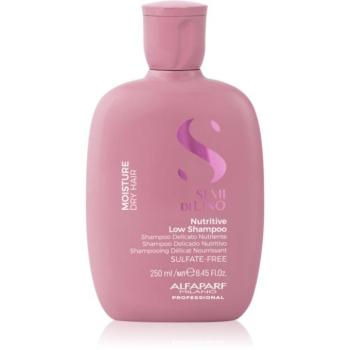 Alfaparf Milano Semi di Lino Moisture sampon száraz hajra 250 ml kép