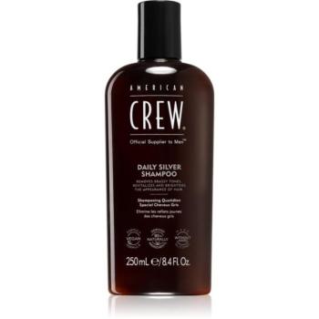 American Crew Daily Silver Shampoo sampon fehér és ősz hajra 250 ml kép