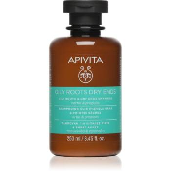 Apivita Oily Roots & Dry Ends Shampoo sampon zsíros fejbőrre és száraz hajvégekre 250 ml kép