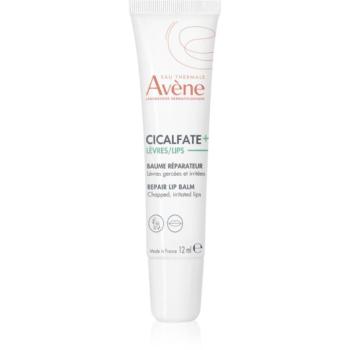 Avène Cicalfate+ Repair Lip Balm megújító balzsam a száraz ajkakra 12 ml kép