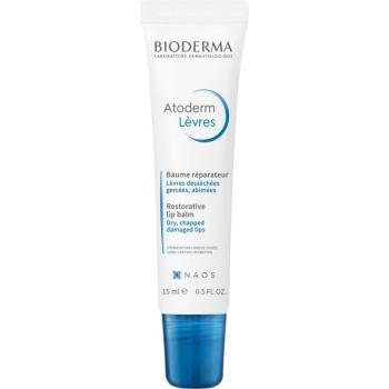 BIODERMA Atoderm Ultra-nourishing Lip Balm 15 ml kép