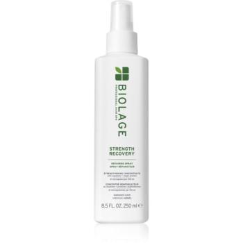 Biolage Strength Recovery Strenght Recovery erősítő spray a károsult hajra 250 ml kép
