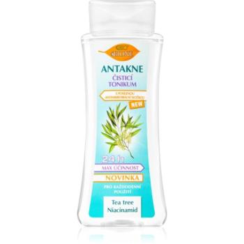 Bione Cosmetics Antakne tisztító tonik zsíros és problémás bőrre 255 ml kép