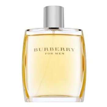 Burberry For Men Eau de Toilette férfiaknak 100 ml kép