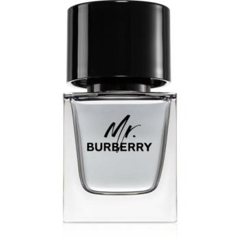 Burberry Mr. Burberry Eau de Toilette uraknak 50 ml kép