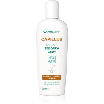 Cannaderm Capillus Seborea CBD+ Shampoo sampon korpásodás ellen 150 ml kép