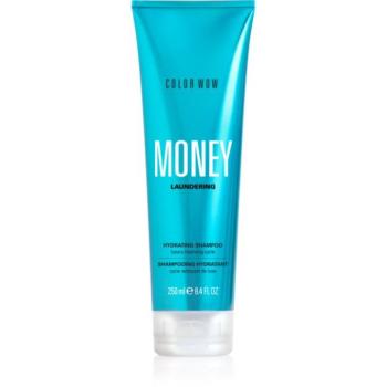 Color WOW Money Laundering Hydrating Shampoo hidratáló sampon 250 ml kép