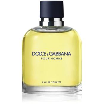 Dolce&Gabbana Pour Homme Eau de Toilette uraknak 125 ml kép