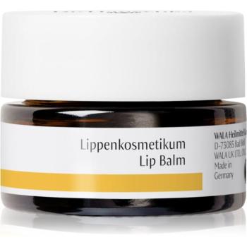 Dr. Hauschka Eye And Lip Care Lip Balm ajakbalzsam tápláló hatással 4.5 ml kép