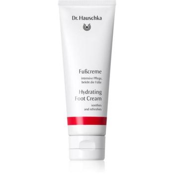 Dr. Hauschka Hand And Foot Care Hydrating Foot Cream hidratáló krém lábakra 75 ml kép