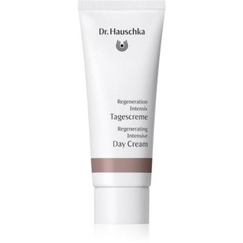 Dr. Hauschka Regeneration Intensive Day Cream regeneráló nappali krém a ráncok ellen 40 ml kép