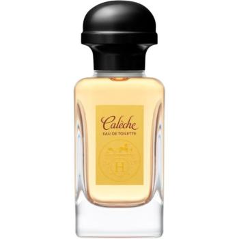 HERMÈS Calèche Eau de Toilette hölgyeknek 50 ml kép