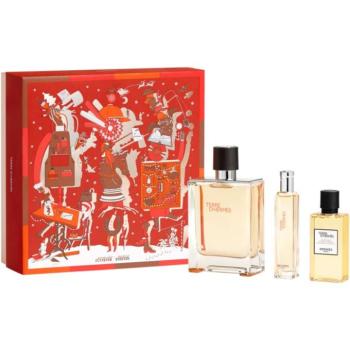 HERMÈS Terre d’Hermès Eau de Toilette Set ajándékszett uraknak kép