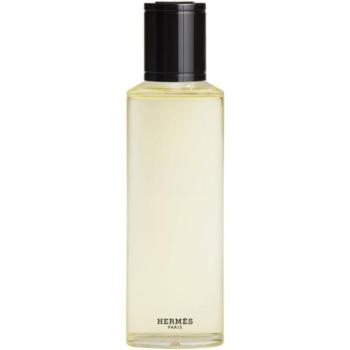 HERMÈS Terre d’Hermès Eau Givrée Eau de Parfum utántölthető uraknak 200 ml kép