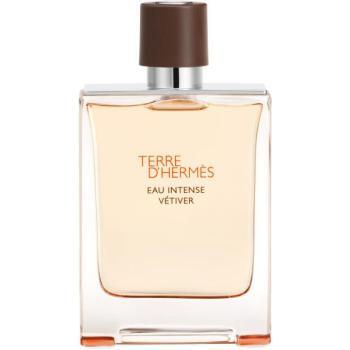 HERMÈS Terre d’Hermès Eau Intense Vétiver Eau de Parfum uraknak 100 ml kép