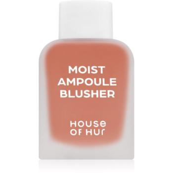 House of Hur Moist Ampoule Blusher folyékony arcpirosító mini 10 ml kép