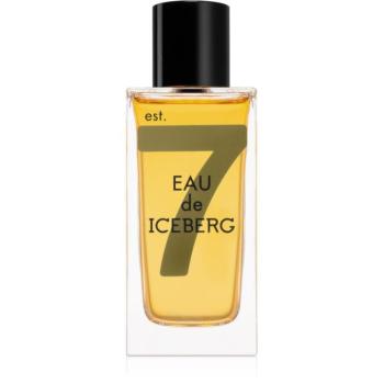 Iceberg Eau de Iceberg Amber Eau de Toilette uraknak 100 ml