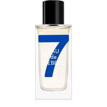 Iceberg Eau de Iceberg Cedar Eau de Toilette uraknak 100 ml kép