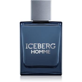 Iceberg Homme Eau de Toilette uraknak 100 ml kép
