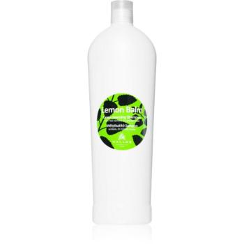 Kallos Kallos Classic sampon normál és zsíros hajra 1000 ml kép