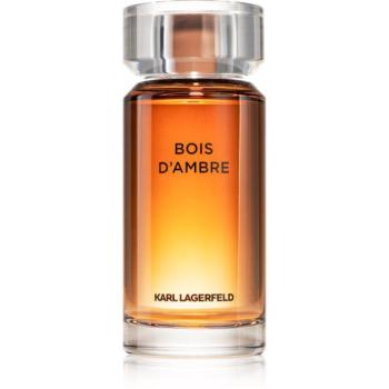 Karl Lagerfeld Bois d´Ambre Eau de Toilette uraknak 100 ml kép