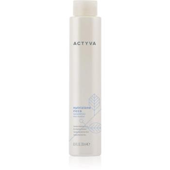 Kemon Group Actyva Nutrizone Ricca tápláló sampon hajra 250 ml kép